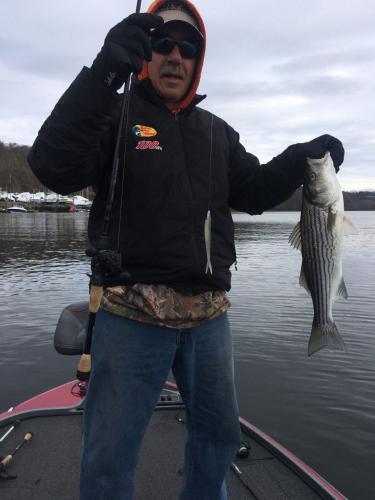 Braggin' Board Photo: Stripe Bass- Connecticut