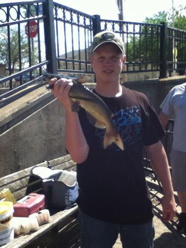 Braggin' Board Photo: Catfish