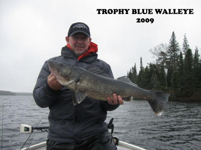 Braggin' Board Photo: Trophy Blue Walleye 2009