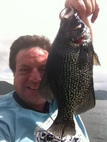 Braggin' Board Photo: Lake George Crappie