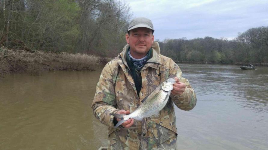 Braggin' Board Photo: Good Shad Fishing in Cary, NC