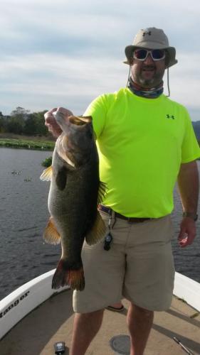 Braggin' Board Photo: Bass: catch of the day