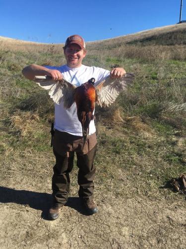 Braggin' Board Photo: Hunting Birds