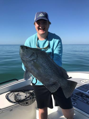 Braggin' Board Photo: Triple Tail, Will Taylor