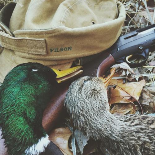 Braggin' Board Photo: Mallard Pair Ozark 2014