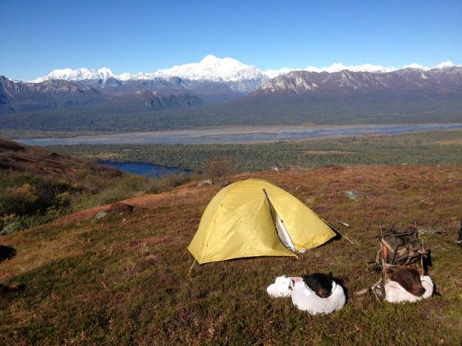 Braggin' Board Photo: Black and brown bear