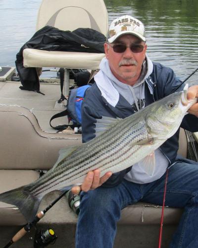 Braggin' Board Photo: Awesome Striper Bass