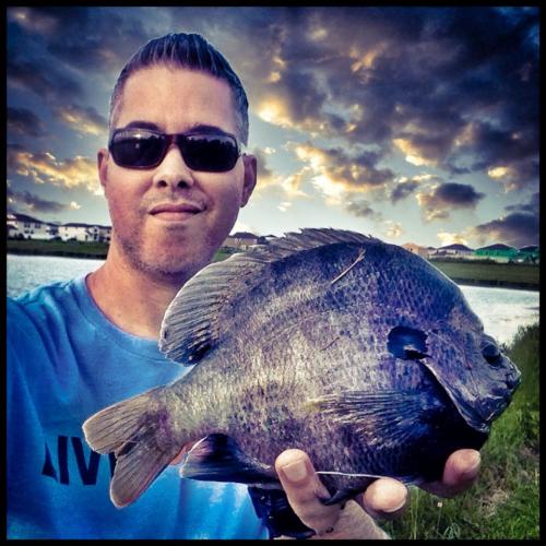 Braggin' Board Photo: Big bluegill action!