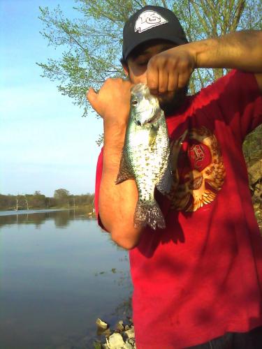 Braggin' Board Photo: Crappie