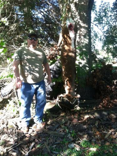 Braggin' Board Photo: 2013 Buck