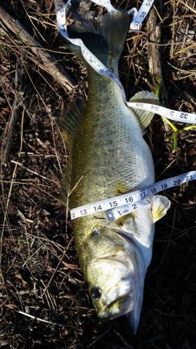 Braggin' Board Photo: Nice Catch