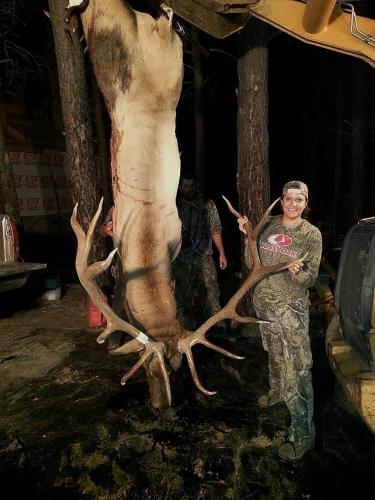 Braggin' Board Photo: Nice Elk