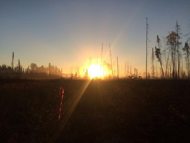 Braggin' Board Photo: Morning 2015 Moose Hunt