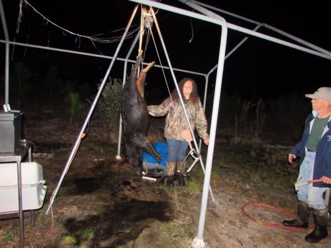 Braggin' Board Photo: Large Sow! 16 year old Granddaughter kills hog in Perry FL