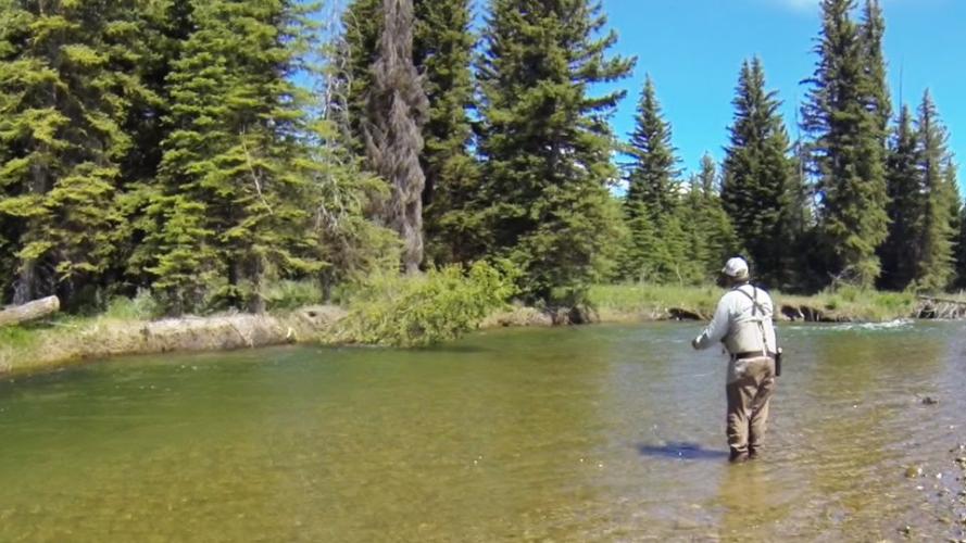 Braggin' Board Photo: Fly Fishing Cast