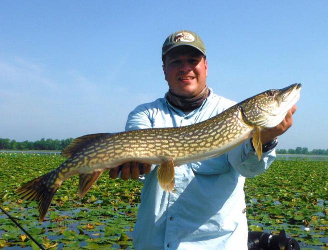 Braggin' Board Photo: Great Pike fishing
