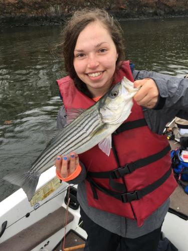 Braggin' Board Photo: Stripe Bass
