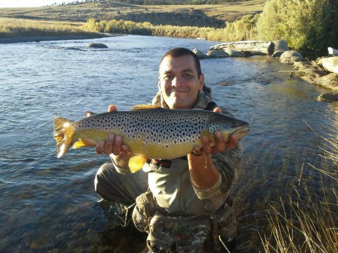 Braggin' Board Photo: Brown Trout