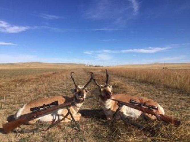 Braggin' Board Photo: Hunting Pronghorn Wyoming  2015
