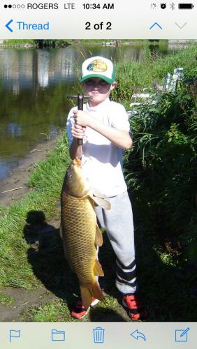 Braggin' Board Photo: Noah's Carp