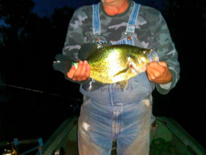 Braggin' Board Photo: Big Crappie
