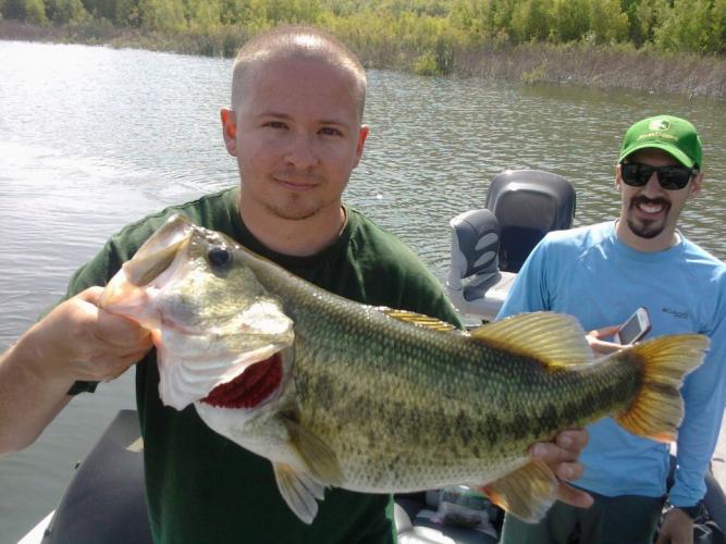 Braggin' Board Photo: 7 8 perris Bass