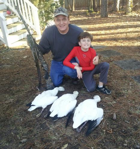 Braggin' Board Photo: Snow Geese