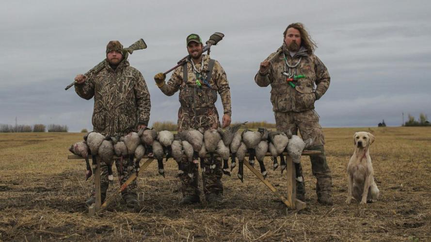 Braggin' Board Photo: Hunting Geese North Alberta