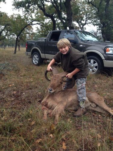 Braggin' Board Photo: Wild sheep - Audad