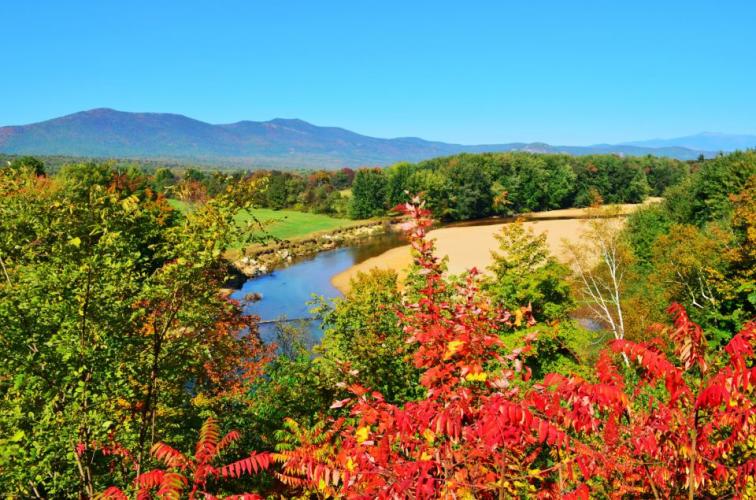 Braggin' Board Photo: Saco river