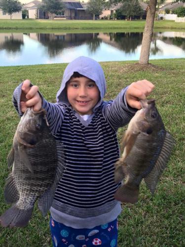 Braggin' Board Photo: Two Tilapia