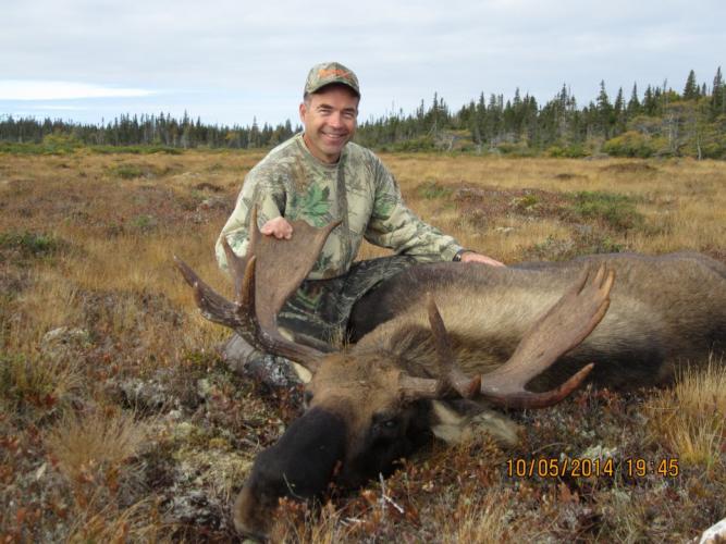 Braggin' Board Photo: Moose, Canada hunting tip
