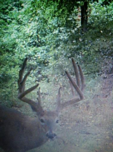 Braggin' Board Photo: 2014 Buck