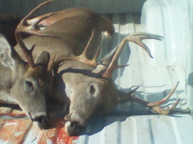 Braggin' Board Photo: Whitetails