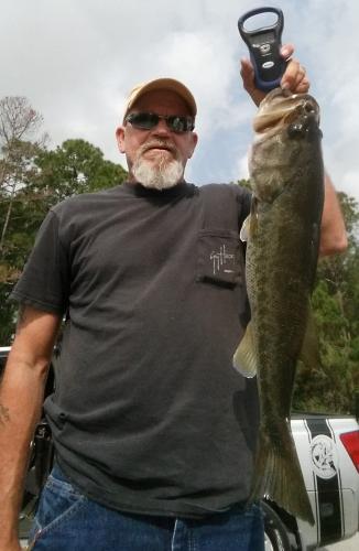 Braggin' Board Photo: Nice Bass