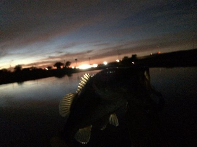 Braggin' Board Photo: Night Fishing for bass