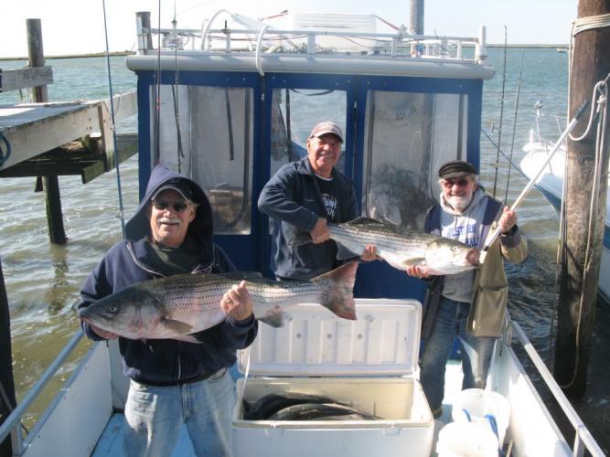 Braggin' Board Photo: Great Day fishing Salt Bass