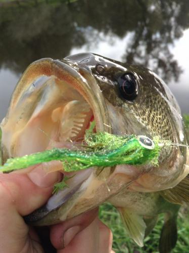 Braggin' Board Photo: Open Wide