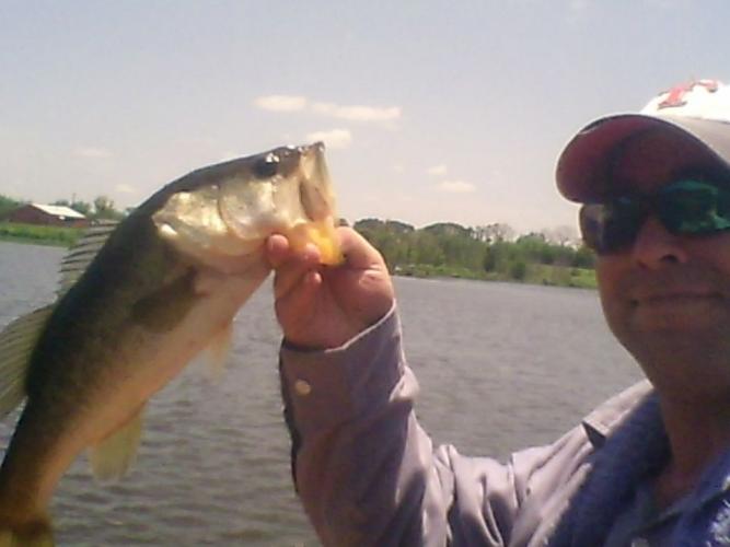 Braggin' Board Photo: My Bass