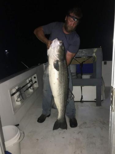 Braggin' Board Photo: Striper Bass