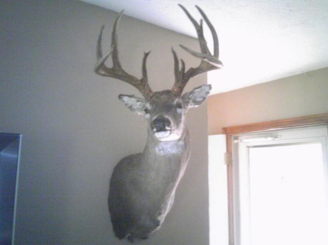 Braggin' Board Photo: The Trophy Buck