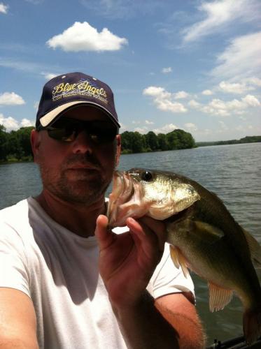 Braggin' Board Photo: Bass on Cheatham Lake