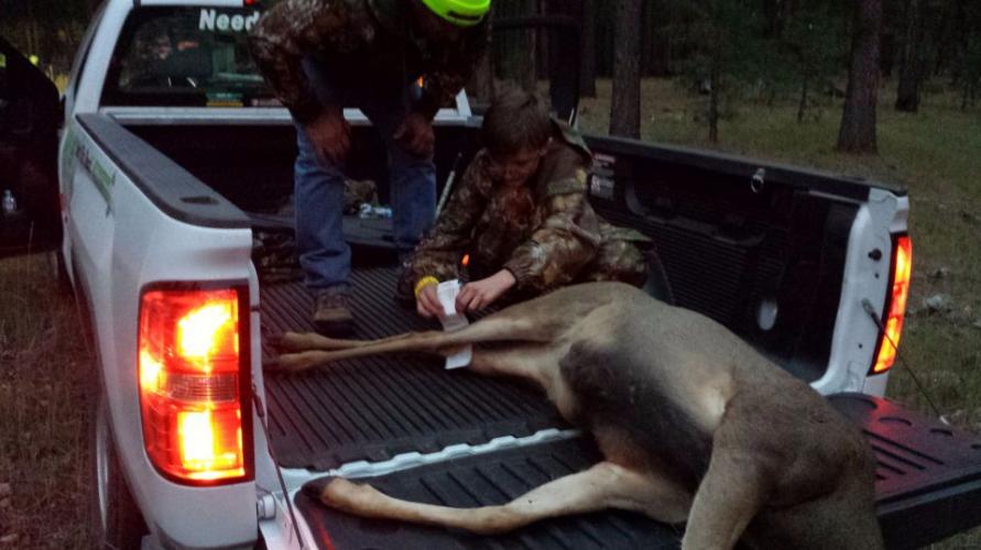 Braggin' Board Photo: Putting the Deer Tag on 1st deer