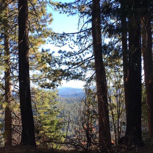 Braggin' Board Photo: Sonora