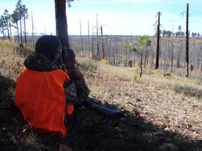Braggin' Board Photo: Glassing for Deer