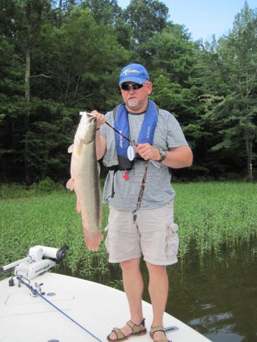 Braggin' Board Photo: 13 lb Bowfin Caught on Jordan Lake