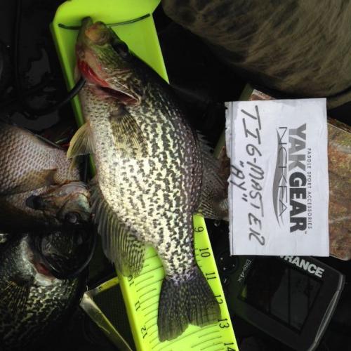Braggin' Board Photo: Crappie photo 4