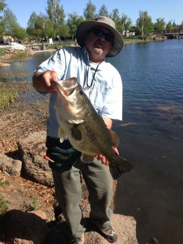 Braggin' Board Photo: 15.9LB Bass  caught & Released