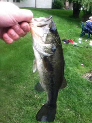 Braggin' Board Photo: Bass 3