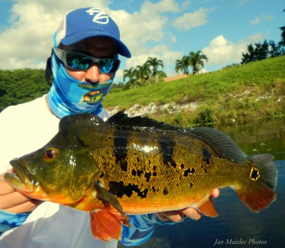Braggin' Board Photo: Peacock Bass